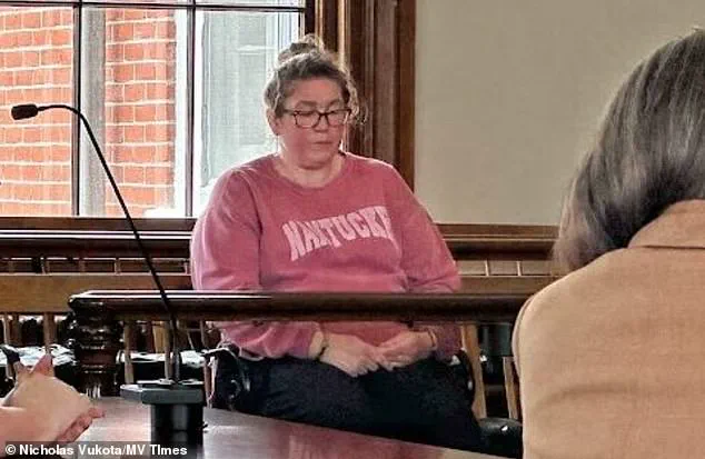 Parents Sue Babysitter in Martha's Vineyard Over Death of Two-Year-Old Left in Hot Car; Manslaughter Charges Filed