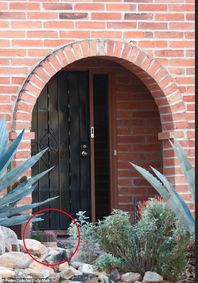 FBI Releases Footage of Masked Suspect in Nancy Guthrie Abduction as Daughter Pleads for Help