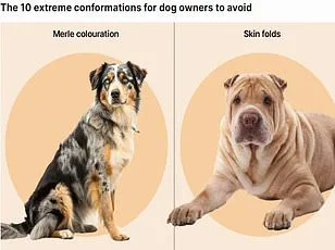 Invasive Flatworms Exploit Pets to Spread Across Europe, Study Warns