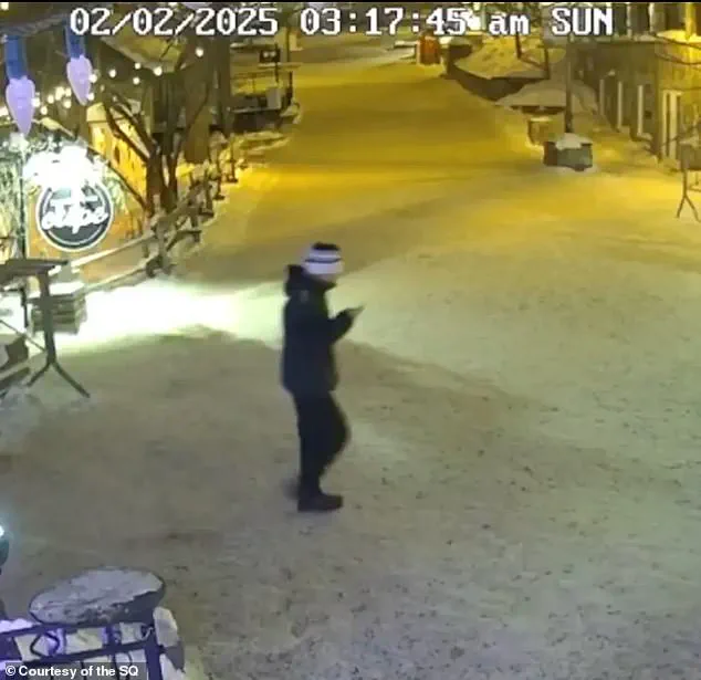 The Vanishing of Liam Gabriel Toman: A Community's Search for Answers