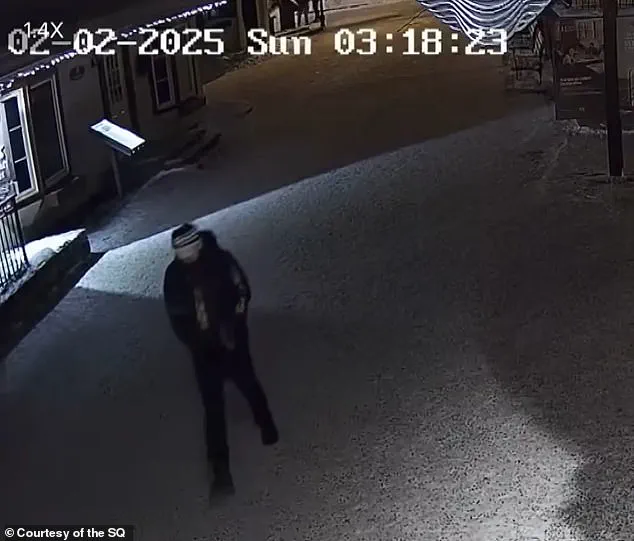 The Vanishing of Liam Gabriel Toman: A Community's Search for Answers