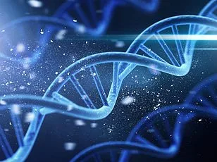 Why the 40s Are the Most Draining Decade, New Study Finds Mismatch Between Biology and Demand