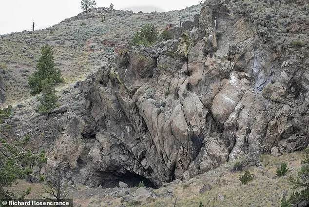 Oldest Known Sewn Clothing Discovered in Oregon: Challenging Assumptions About Early Human Technology