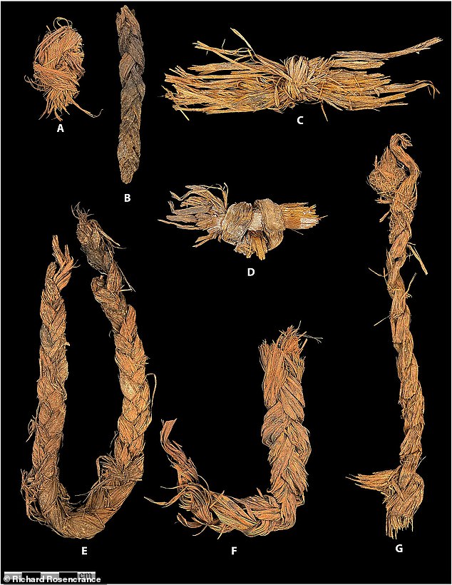 Oldest Known Sewn Clothing Discovered in Oregon: Challenging Assumptions About Early Human Technology