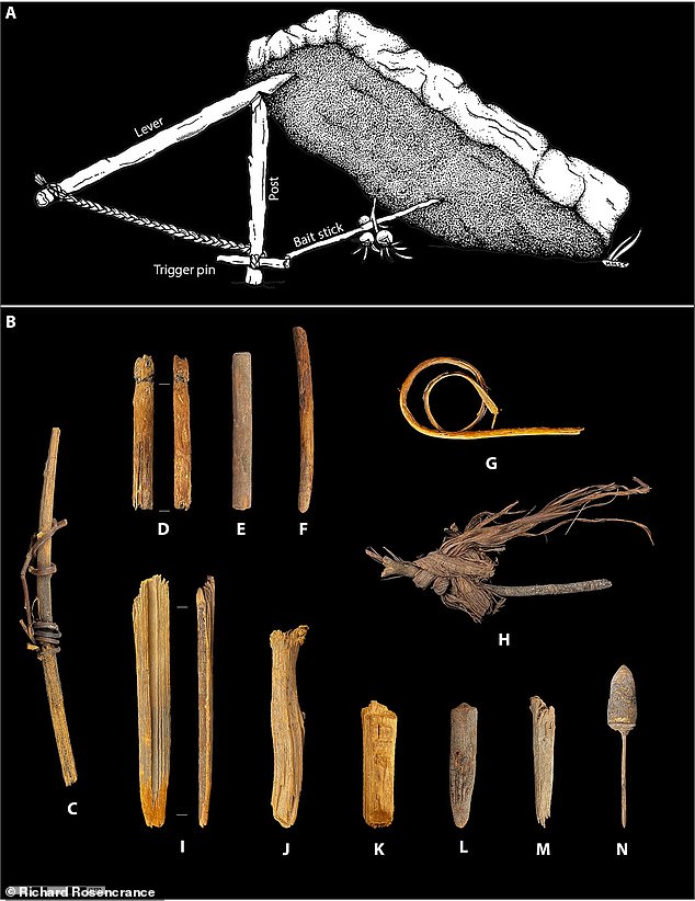 Oldest Known Sewn Clothing Discovered in Oregon: Challenging Assumptions About Early Human Technology