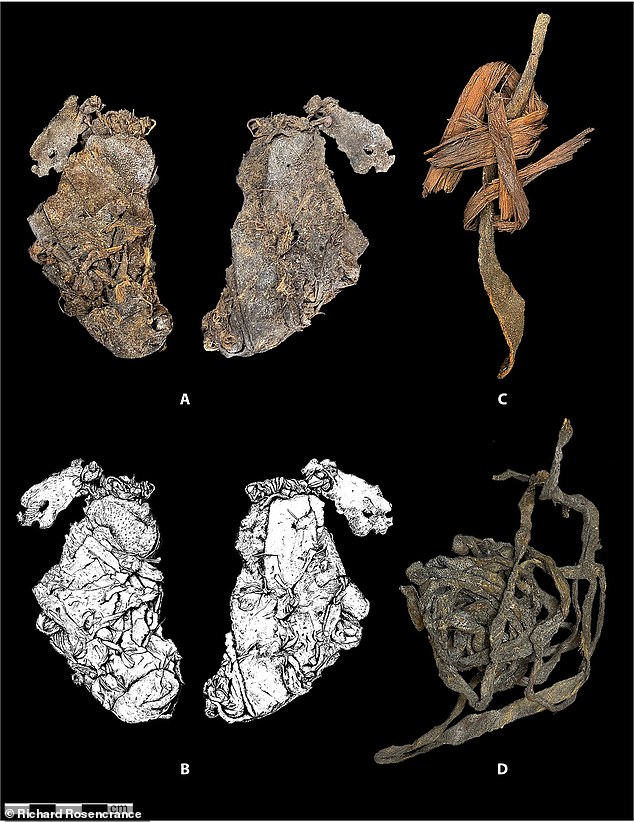Oldest Known Sewn Clothing Discovered in Oregon: Challenging Assumptions About Early Human Technology