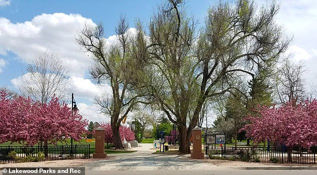 Aviation Park's Crisis: From Suburban Serenity to Homelessness Battleground