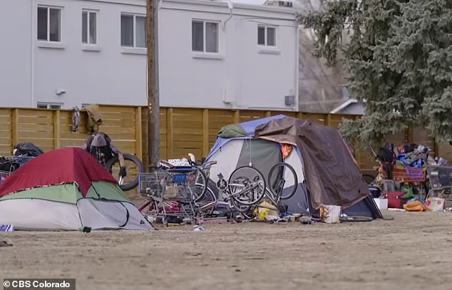 Aviation Park's Crisis: From Suburban Serenity to Homelessness Battleground