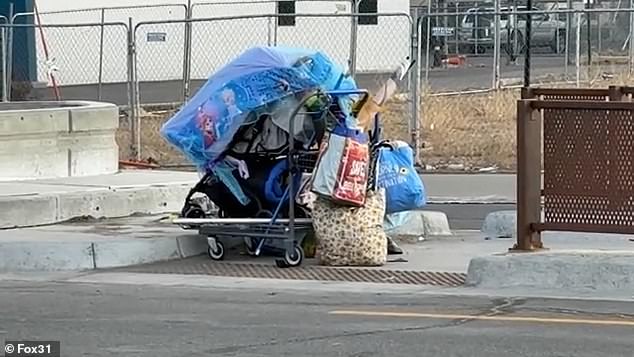 Aviation Park's Crisis: From Suburban Serenity to Homelessness Battleground