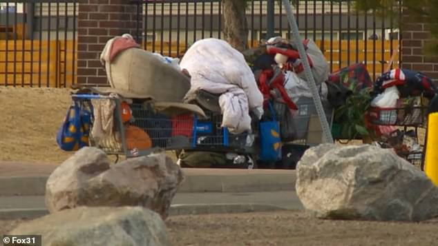 Aviation Park's Crisis: From Suburban Serenity to Homelessness Battleground