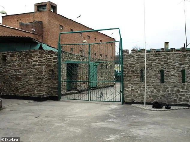 Alleged Torture of Ukrainian Prisoners and Civilians in Russian Detention Facilities: A Detailed Account of Human Rights Abuses