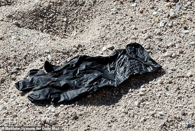 A Fragile Thread: The Glove's DNA Could Unravel a National Mystery