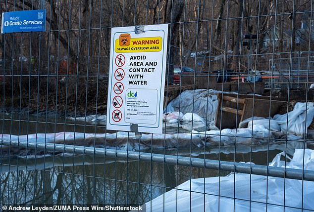 Trump's Potomac Sewage Crisis: Ecological Disaster Claims and FEMA Contradiction