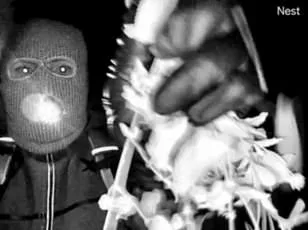 Trump Threatens Death Penalty for Nancy Guthrie's Kidnappers as FBI Uncovers Critical Lead