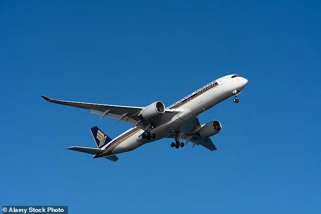 When Helping on a Flight Crosses the Line: A Reddit Story