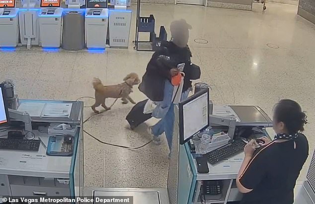 Woman Abandons Dog at Las Vegas Airport in Bid to Board Flight, Sparking Legal and Public Outcry