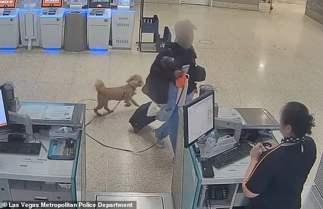 Woman Abandons Dog at Las Vegas Airport in Bid to Board Flight, Sparking Legal and Public Outcry