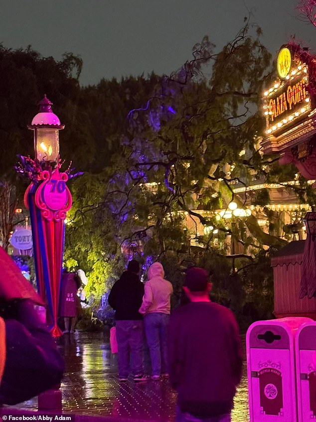 Romantic Disney Evening Ends in Tree Crash, Couple Unharmed