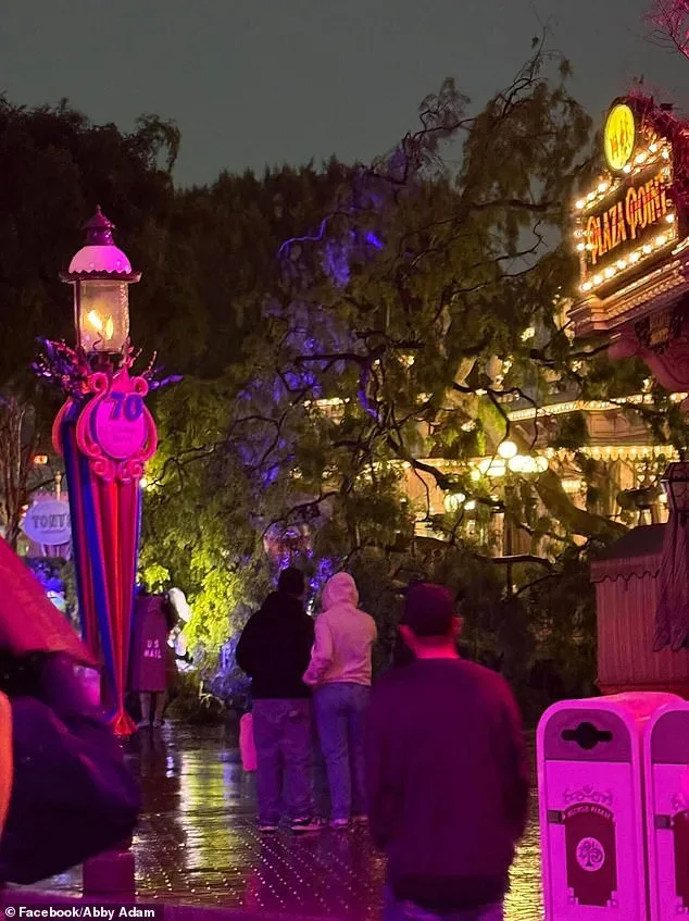 Romantic Disney Evening Ends in Tree Crash, Couple Unharmed