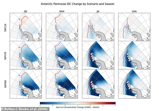 Study Warns 20% Antarctic Sea Ice Loss by 2100 Could Trigger Global Catastrophe