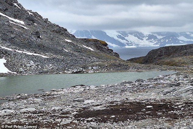 Study Warns 20% Antarctic Sea Ice Loss by 2100 Could Trigger Global Catastrophe