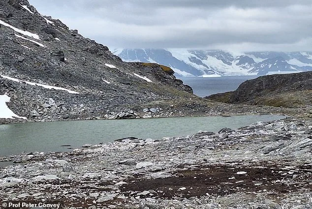 Study Warns 20% Antarctic Sea Ice Loss by 2100 Could Trigger Global Catastrophe