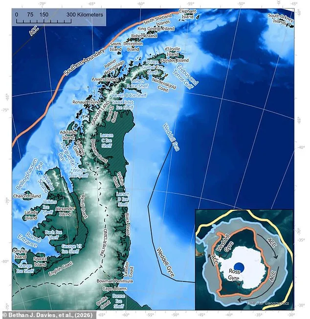 Study Warns 20% Antarctic Sea Ice Loss by 2100 Could Trigger Global Catastrophe