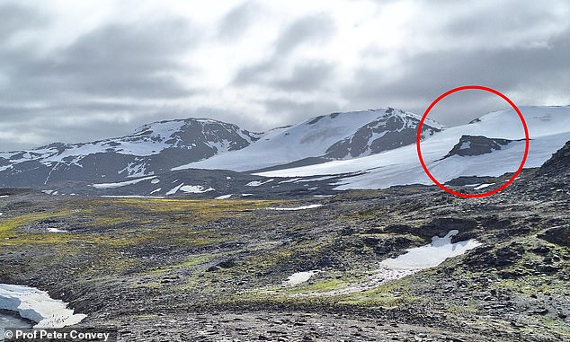 Study Warns 20% Antarctic Sea Ice Loss by 2100 Could Trigger Global Catastrophe