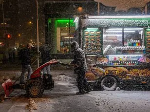 Historic East Coast Blizzard Sparks Chaos, Over 9,000 Flights Canceled