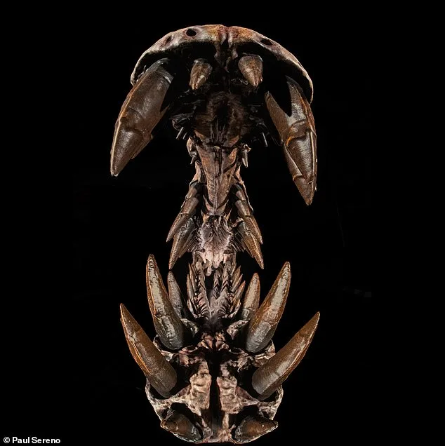 Astonishing *Spinosaurus mirabilis* Fossil Unearthed in Sahara Desert Unveils Prehistoric Giant's Extraordinary Features