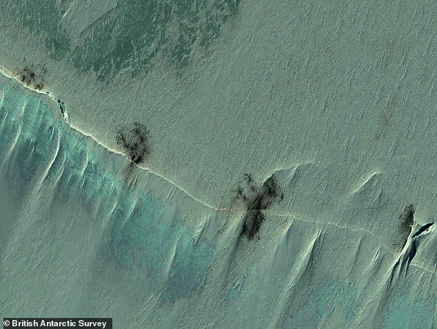 Emperor Penguins Face Extinction Crisis as Shrinking Sea Ice Exposed by Satellite Imagery Reveals Vulnerable Moulting Colonies