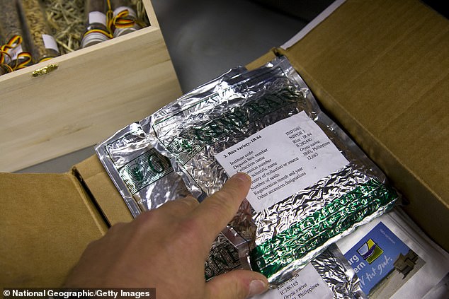 Svalbard's Seed Vault Expands Collection with 7,800 New Samples, Safeguarding Global Agricultural Legacy