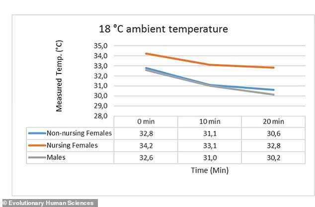 Evolutionary Insight: Why Human Female Breasts Evolved as a Survival Mechanism for Newborns