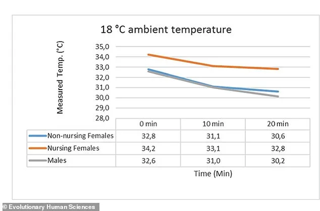 Evolutionary Insight: Why Human Female Breasts Evolved as a Survival Mechanism for Newborns