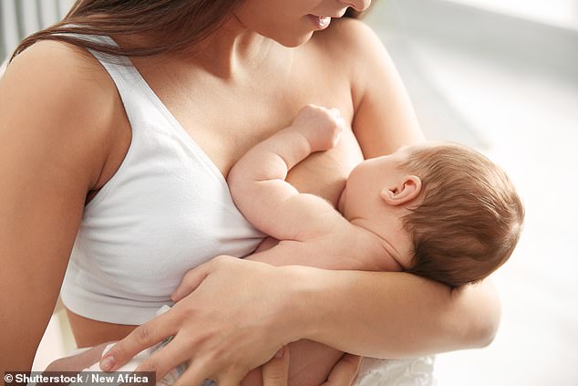 Evolutionary Insight: Why Human Female Breasts Evolved as a Survival Mechanism for Newborns