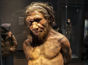 Majority of Human-Neanderthal Unions Involved Neanderthal Males, Study Finds