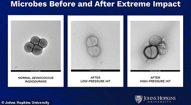 Microbes May Travel Between Planets via Asteroid Impacts, Study Suggests