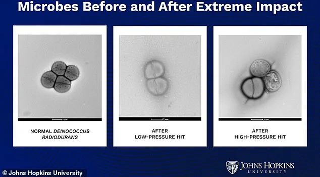 Microbes May Travel Between Planets via Asteroid Impacts, Study Suggests