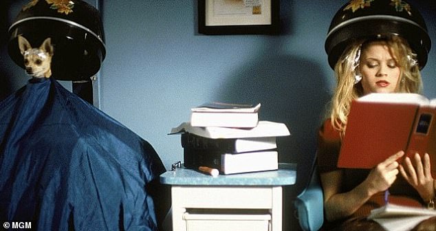 Hairdressers: The Unexpected Climate Change Allies in a Trust-Driven Revolution