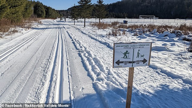 Four-Year-Old Girl Dies in Accidental Sledding Accident in Ontario