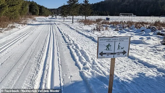 Four-Year-Old Girl Dies in Accidental Sledding Accident in Ontario