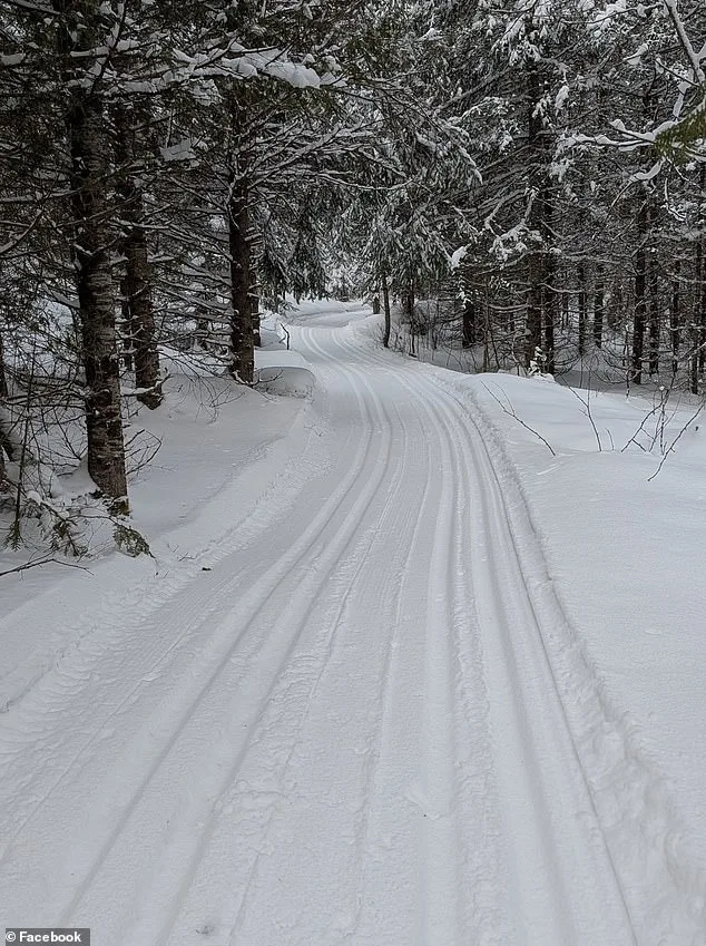 Four-Year-Old Girl Dies in Accidental Sledding Accident in Ontario