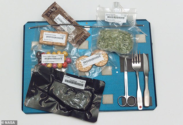 Artemis II Crew to Experience Future of Space Dining with Customized Meals