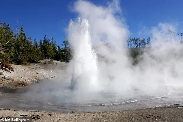 Echinus Geyser Reawakens After Prolonged Dormancy, Raising Concerns About Yellowstone's Supervolcano Stability
