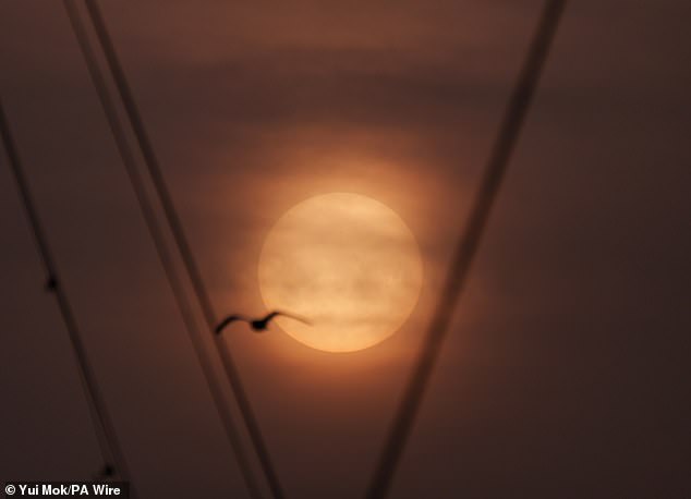 Saharan Dust Plume Brings 'Blood Rain' to the UK, Surprising Meteorologists