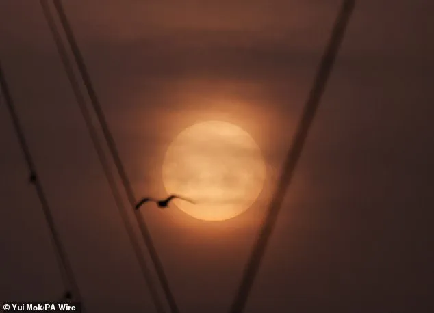 Saharan Dust Plume Brings 'Blood Rain' to the UK, Surprising Meteorologists