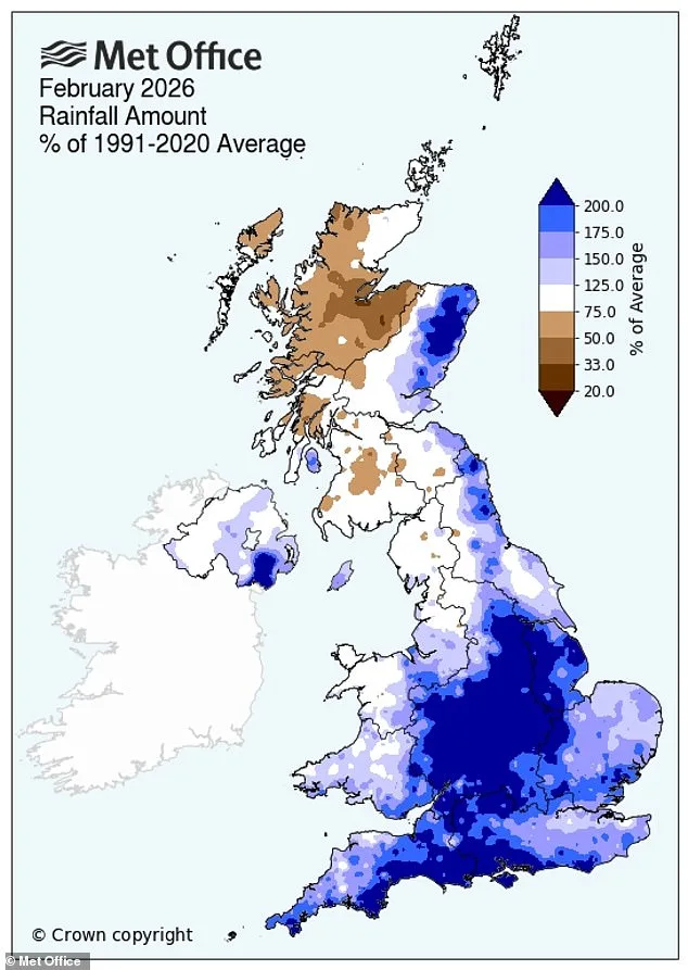UK Warned of Potential 'Slugageddon' Repeat as Wet Winter of 2025 Sets Stage for Surge in Garden Slugs