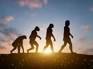 Winter Storm Batters Western U.S., Bringing Feet of Snow and Dangerous Travel Conditions as NWS Issues Warnings