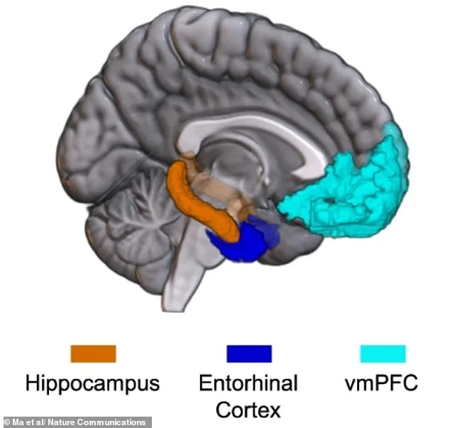 AI-Generated Brain Map Reveals Surprising Link Between Anger and Fear, Challenging Emotional Assumptions