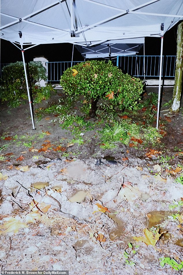 Chilling Diary Reveals Neo-Nazi's Path from Privilege to Murder